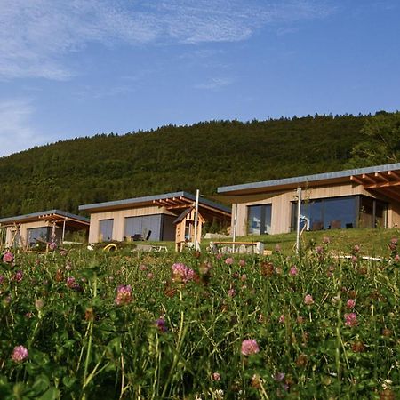 An Webers Stoag Villa Geisingen Ngoại thất bức ảnh