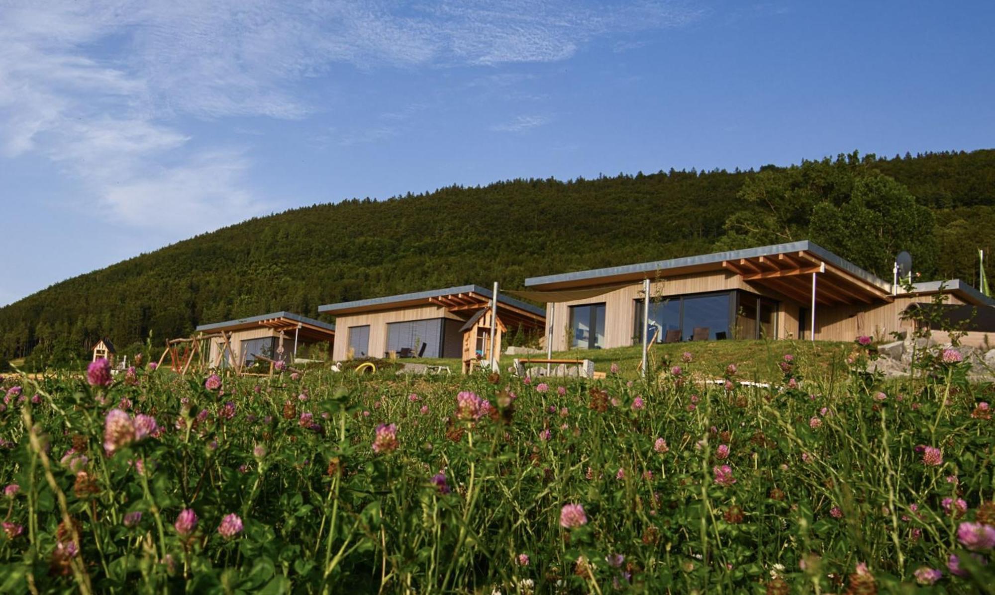 An Webers Stoag Villa Geisingen Ngoại thất bức ảnh